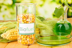 The Folly biofuel availability